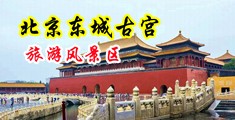 日韩亚洲另类14P中国北京-东城古宫旅游风景区